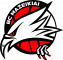 KK MAZEIKIAI Team Logo